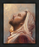 The Plea Gallery Wrap