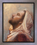 The Plea Gallery Wrap
