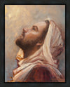 The Plea Gallery Wrap
