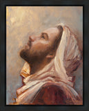 The Plea Gallery Wrap