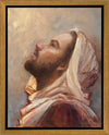 The Plea Gallery Wrap