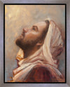 The Plea Gallery Wrap