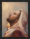 The Plea Gallery Wrap