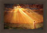 Rejoice in His Light
