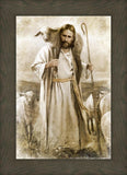 Good Shepherd