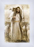 Good Shepherd