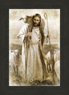 Good Shepherd