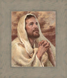 I Have Prayed For Thee