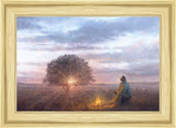 The Light of Life