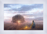 The Light of Life