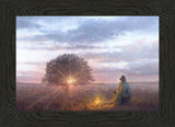 The Light of Life