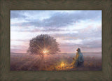The Light of Life