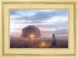 The Light of Life