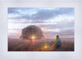 The Light of Life