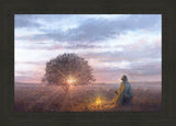 The Light of Life