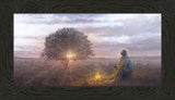 The Light of Life