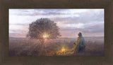 The Light of Life