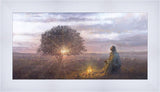 The Light of Life