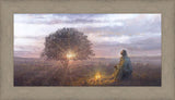 The Light of Life