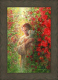 Love Everlasting