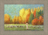 Changing Seasons