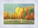Changing Seasons