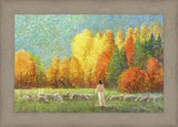 Changing Seasons