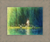 Among the Willows
