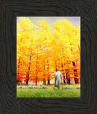 Autumn Breeze