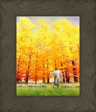 Autumn Breeze