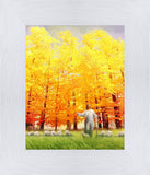 Autumn Breeze
