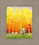 Autumn Breeze