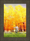 Autumn Breeze