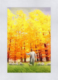 Autumn Breeze