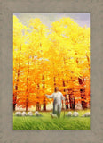 Autumn Breeze