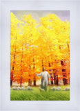 Autumn Breeze