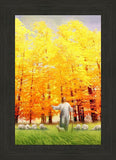 Autumn Breeze