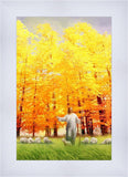 Autumn Breeze