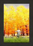 Autumn Breeze