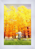Autumn Breeze