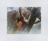 Crucifixion