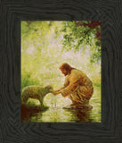 Gentle Shepherd