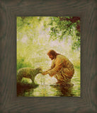 Gentle Shepherd