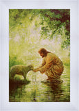 Gentle Shepherd
