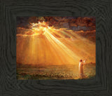 Rejoice in His Light