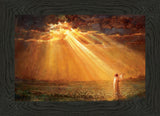 Rejoice in His Light