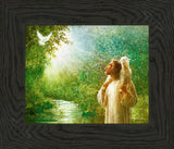 The Grace of God