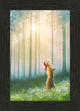 Light Upon His Shoulders
