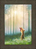 Light Upon His Shoulders