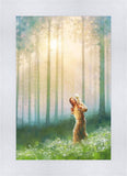 Light Upon His Shoulders